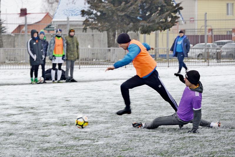 Игра в футбол зимой животные