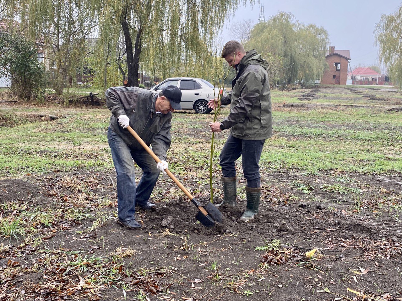 В Кореновске заложили ивовую аллею у дома ветерана Великой Отечественной  войны Василия Ващенко